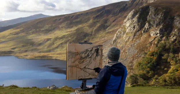 Sally Gap, National Park, Co Wicklow